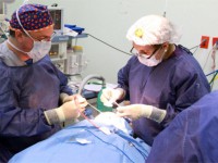 Operación Sonrisa regresa a Monagas