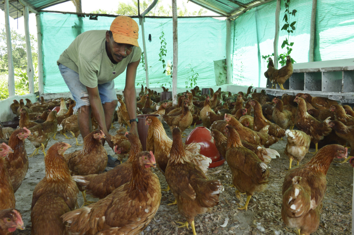 Crearán proyectos socioproductivos en urbanismos de la Gmvv en Monagas