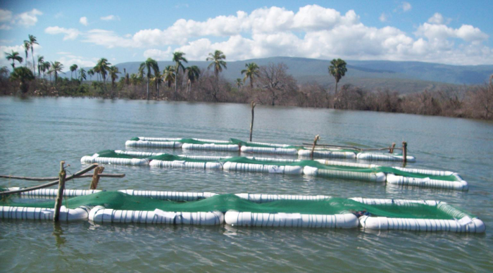 Gobernadora Santaella impulsa La Piscicultura al sur de Monagas