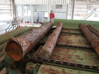 Constituirán Empresa mixta para reactivar Maderera de Caripito