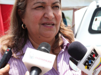 Explotaran 400 mil hectáreas  de pino en Monagas y Anzoátegui