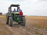 Revolución enciende motor Agroalimentario en Monagas