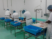 Monagas tiene Planta Procesadora de Pescado y se llama “Hugo Chávez Frías”