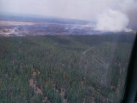 Controlado incendio forestal en Uveritos