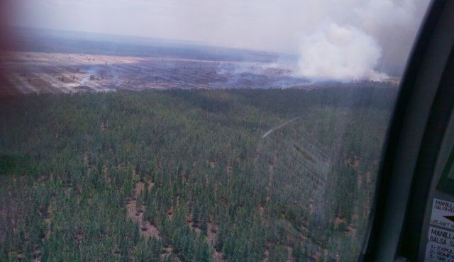 Controlado incendio forestal en Uveritos