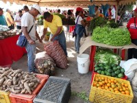 Gobernación inyecta nuevos recursos al Motor Agroalimentario