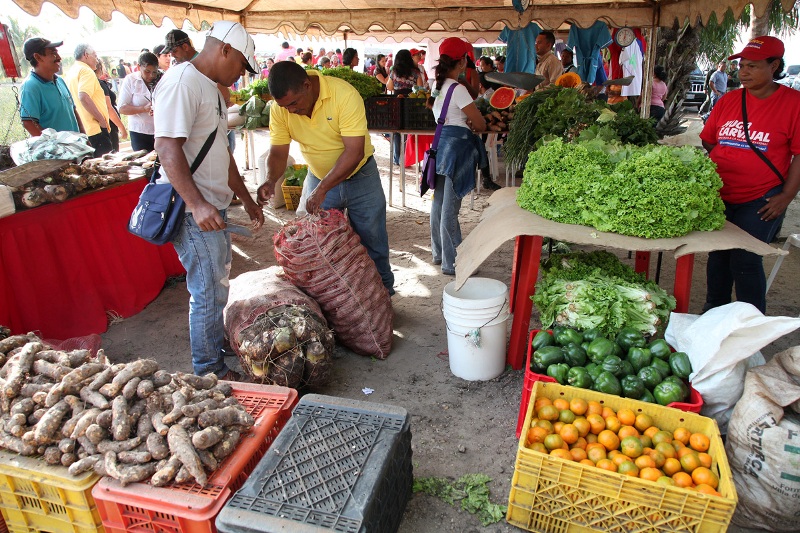 Gobernación inyecta nuevos recursos al Motor Agroalimentario