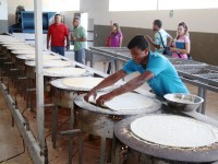 Gobierno regional elevará producción de Proyuca