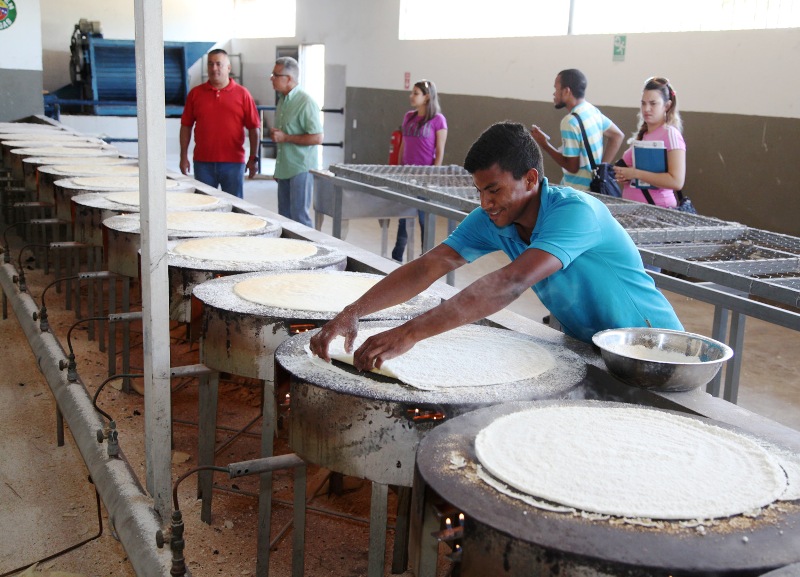 Gobierno regional elevará producción de Proyuca