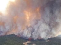 En tiempo record Bomberos controlaron incendio en Amana