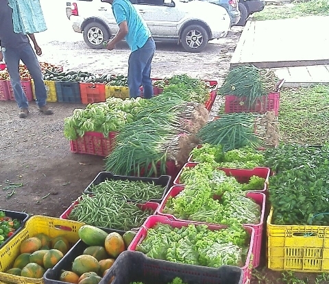Más de 12 toneladas de hortalizas fueron expendidas en Maturín