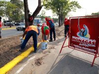 Gobernación continúa Plan de Embellecimiento de Maturín (+Fotos)