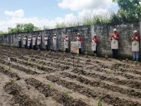 Relanzan programa de conucos escolares en las escuelas del estado Monagas