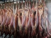 Carne de res comenzó a llegar a los mercados de Monagas