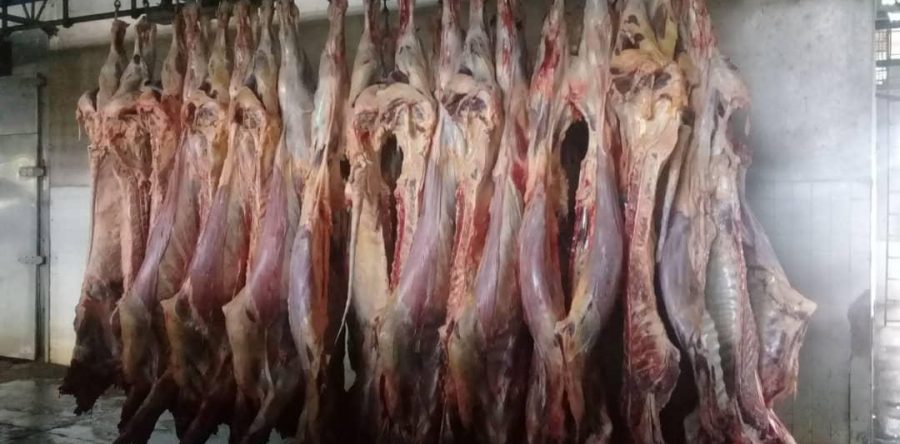 Carne de res comenzó a llegar a los mercados de Monagas