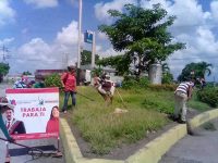 Plan de embellecimiento de Maturin llega a las avenidas Alirio Ugarte Pelayo y Libertador