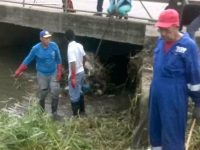 Gobernación ha recolectado en Maturín más de 500 toneladas de basura