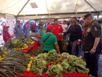 Más de 190 productores de Caripe son beneficiados con insumos y créditos