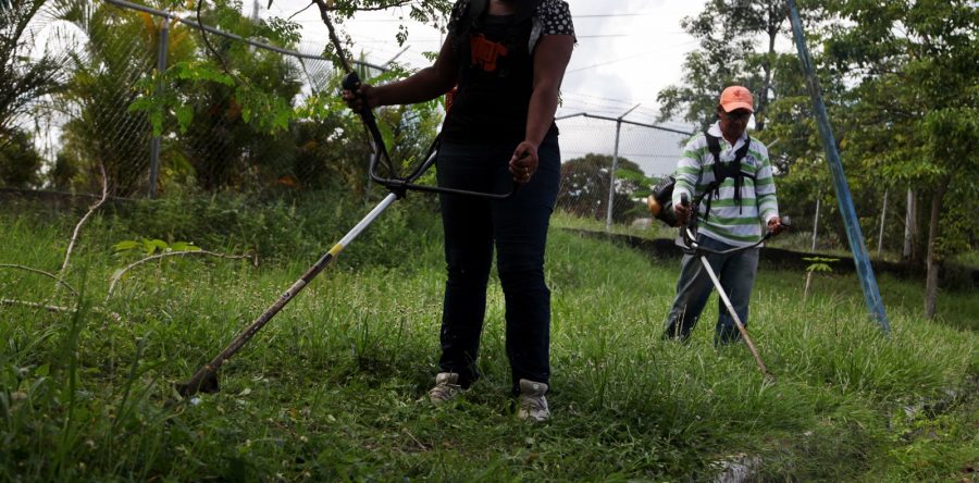 Más de 450 toneladas de basura se han recogido en Boquerón