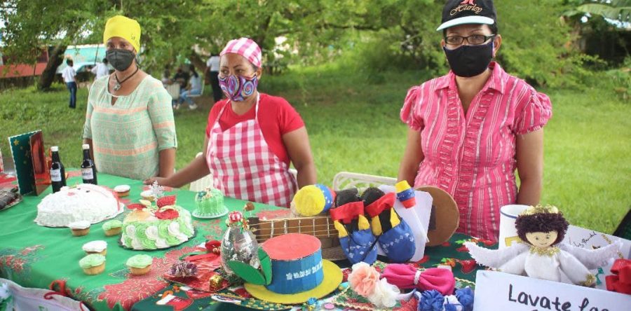 Gobernación inició censo de emprendedores en parroquia Los Godos.