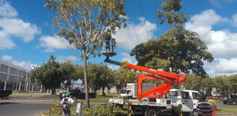 Ruta Tricolor favoreció a más de 10 mil maturineses en cuatro parroquias.