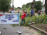 Con plan pica y poda remozan áreas verdes de cuatro avenidas de Maturín