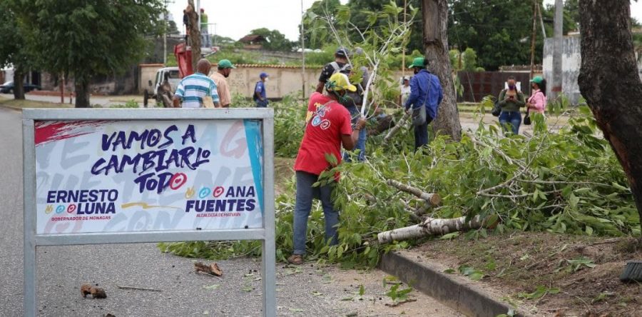 Con plan pica y poda remozan áreas verdes de cuatro avenidas de Maturín