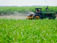 Gobierno regional apoyará a agricultores en el próximo ciclo de siembra.