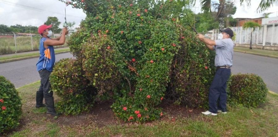 Alcaldía de Maturín embellece avenida José Tadeo Monagas de Las Cocuizas.