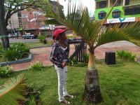 Alcaldía de Maturín embelleció avenida Luis del Valle García.