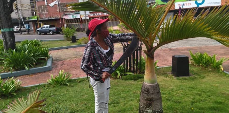 Alcaldía de Maturín embelleció avenida Luis del Valle García.