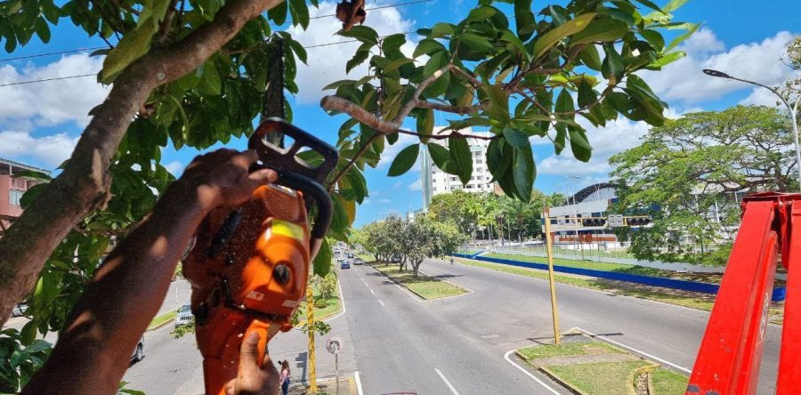 Gobernación y Alcaldía de Maturín ejecutan Plan Pica y Poda en avenida Raúl Leoni.