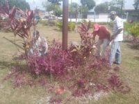 Alcaldía y Gobernación embellecen 4 avenidas y 6 plazas de Maturín.