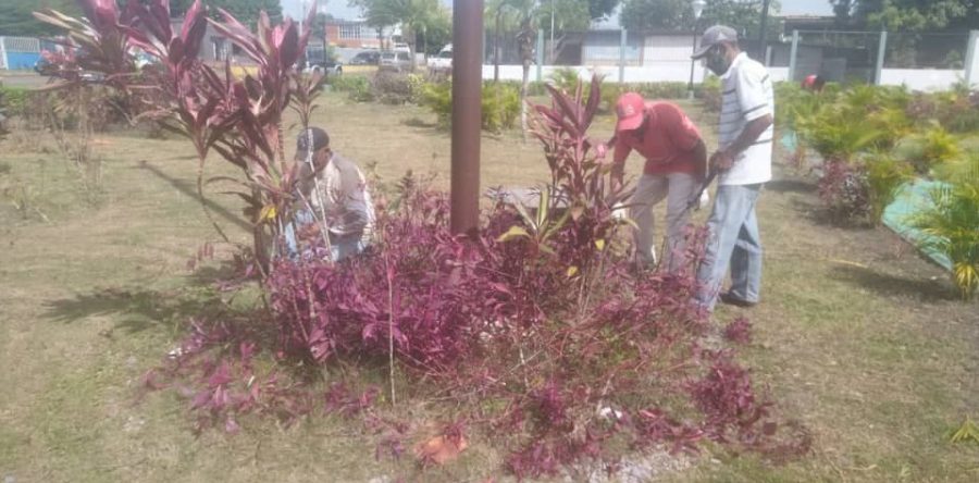 Alcaldía y Gobernación embellecen 4 avenidas y 6 plazas de Maturín.