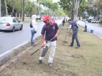 Alcaldesa Ana Fuentes realiza mantenimiento a la avenida Raúl Leoni.