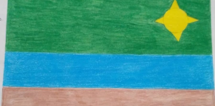 Niña de 13 años gana concurso de bandera para el municipio Cedeño.