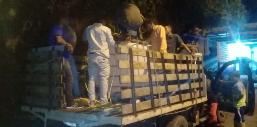 Eliminan 98.600 palometas peludas en Bolívar, Punceres y Maturín.