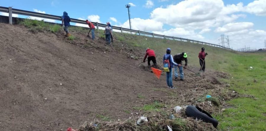 Alcaldía de Maturín está embelleciendo el Distribuidor de La Cruz.