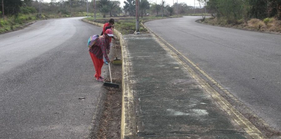 Cuadrillas embellecen más de 24 kilómetros de vialidad del municipio Cedeño.
