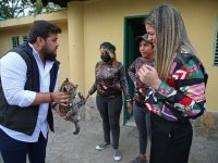 Reciben 25 guacamayas y seis loros en el parque zoológico La Guaricha.