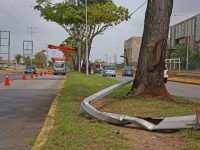 Conductora ebria dañó alumbrado público en la avenida Alirio Ugarte Pelayo.