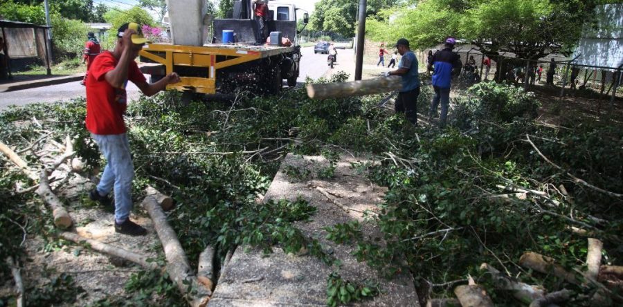 Potencian servicios públicos en la parroquia La Pica con el despliegue “Monagas nos Une”.