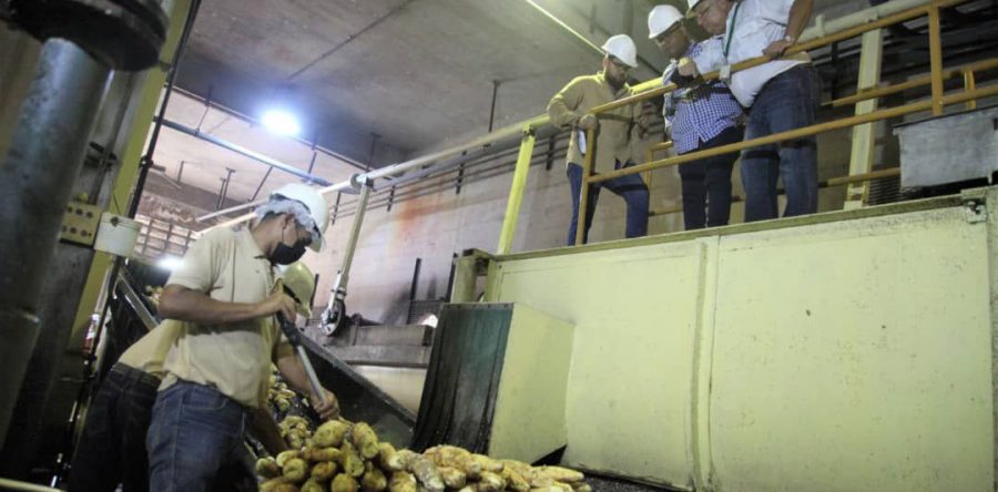 Gobernador Ernesto Luna resalta producción de almidón de la Agroindustria Mandioca.
