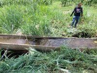 Inician recuperación del sistema de riego en Cedeño.