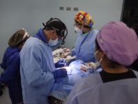 Más de 100 cirugías realizan en quirófanos del Núñez Tovar.