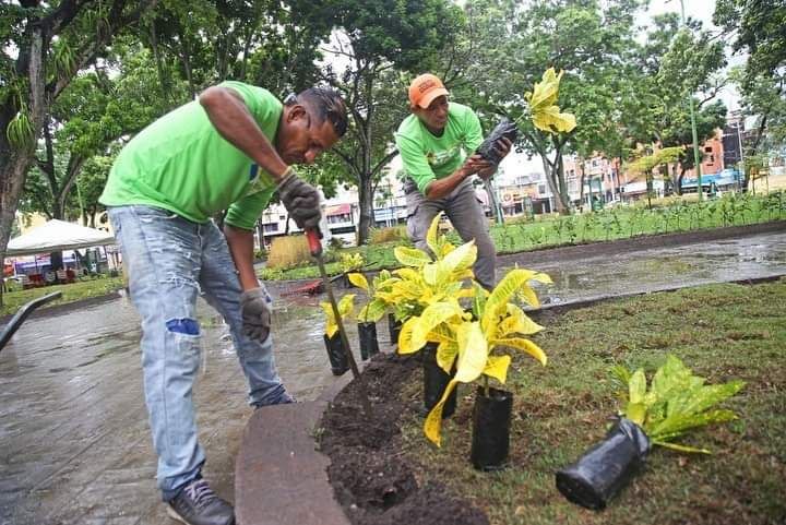 Avanza embellecimiento y modernización de las plazas de Maturín.