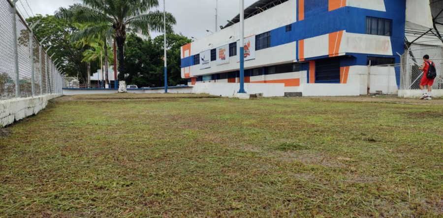 Agilizan labores de desmalezamiento en el Polideportivo de Maturín.