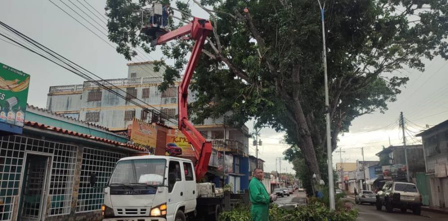 Alcaldía de Maturín aplica pica y poda de árboles ante alerta de ciclón tropical.