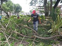 Alcaldía de Maturín siembra plantas ornamentales en 4 plazas del centro de la ciudad.