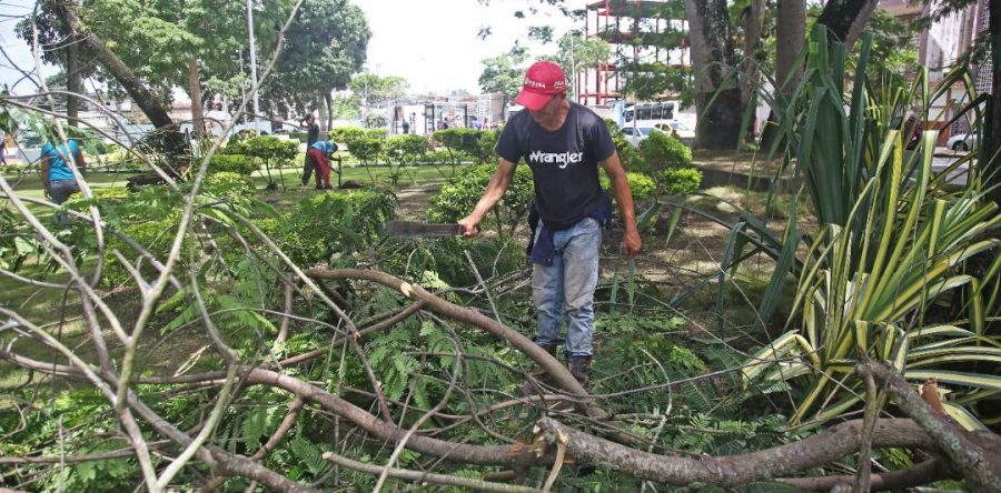 Alcaldía de Maturín siembra plantas ornamentales en 4 plazas del centro de la ciudad.
